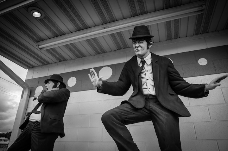 7 braidwood-polka-dot4-bw