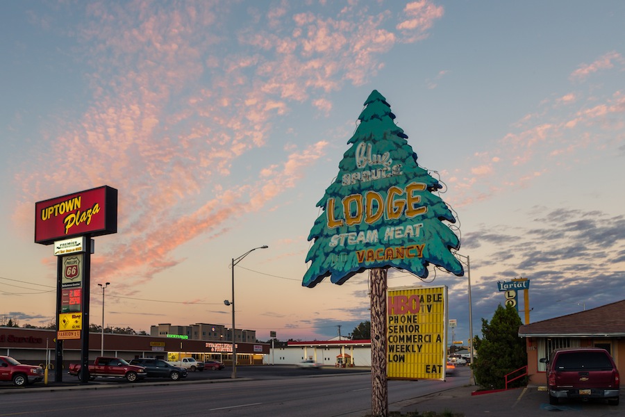 25gallup-blue-spruce-6