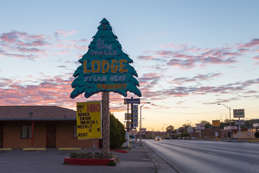 26 gallup-blue-spruce