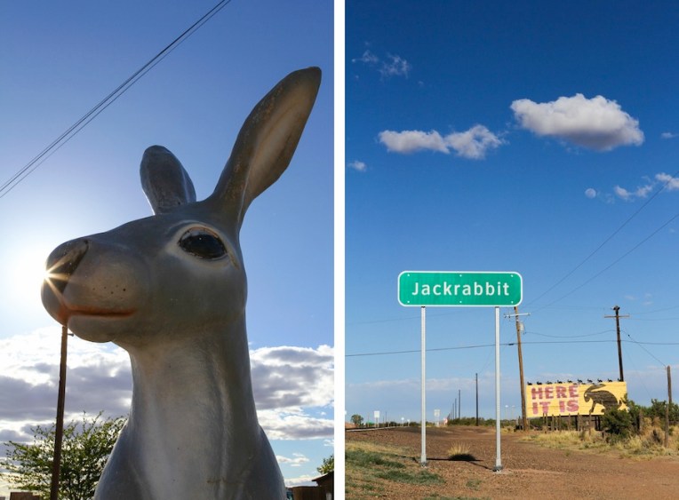 32 jackrabbit-11-checker