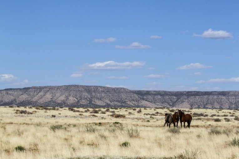 09 road-to-caverns-2