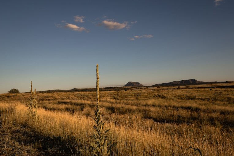 28 day5-Crookton-Rd-2